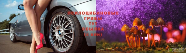 apvp Наволоки