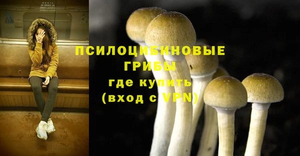 не бодяженный Надым