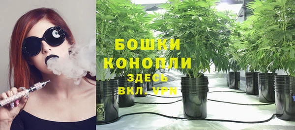 индика Навашино