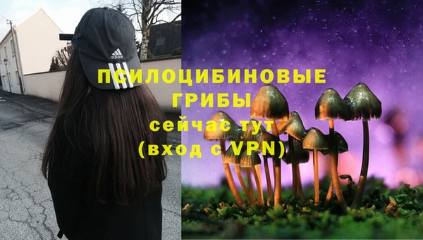 apvp Наволоки