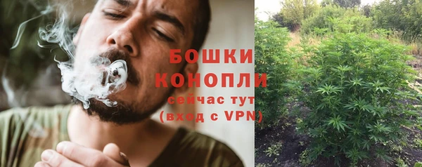 гидропоника Анжеро-Судженск