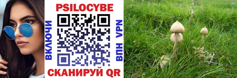 darknet какой сайт  Чулым  Псилоцибиновые грибы Psilocybe  MEGA зеркало 